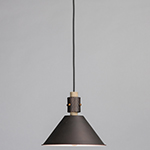 Tucson 1-Light Pendant