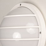 Bulwark 1-Light Outdoor Wall Sconce