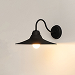 Dockside 1-Light Outdoor Wall Sconce