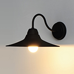 Dockside 1-Light Outdoor Wall Sconce