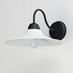 Dockside 1-Light Outdoor Wall Sconce