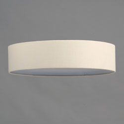 Prime 20" LED Flush Mount 120-277V