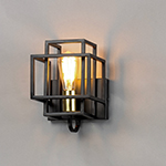 Liner 1-Light Wall Sconce