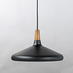 Nordic 1-Light Pendant