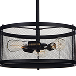 Palladium 3-Light Pendant w/Bulbs