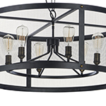 Palladium 6-Light Chandelier W/Bulbs