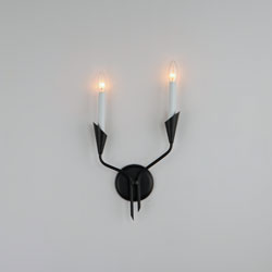 Calyx 2-Light Sconce