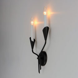 Calyx 2-Light Sconce