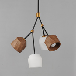 Akimbo 4-Light Pendant W LED Bulbs