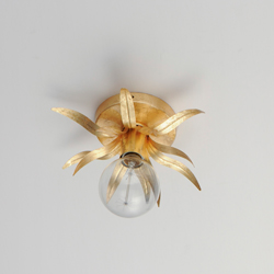 Paloma 1-Light Sconce