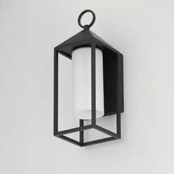 Aldous 1-Light Outdoor Sconce