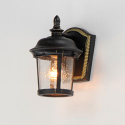 Dover Cast 1-Light Outdoor Wall Lantern