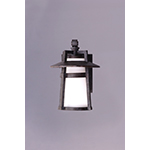 Calistoga 1-Light Outdoor Wall Lantern