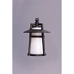 Calistoga 1-Light Outdoor Wall Lantern