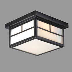 Coldwater 2-Light Outdoor Ceiling Mount