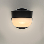 Michelle LED Outdoor Wall Sconce