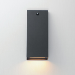 Pathfinder Tall LED Wall Sconce w Photocell 5CCT