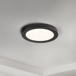 Chip 5" 12W RD LED Flush Mount