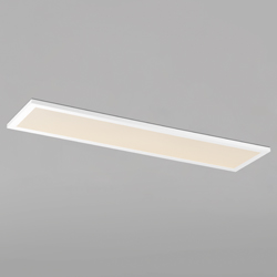 Sky 12"x48" LED Flush Mount 4000K