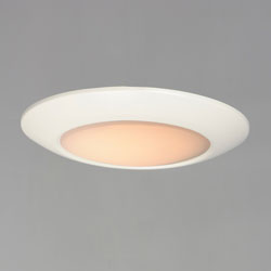 Diverse 11" LED Flush Mount 2700K