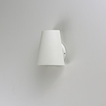 Mini 1-Light LED Outdoor Wall Sconce