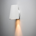 Mini 1-Light LED Outdoor Wall Sconce