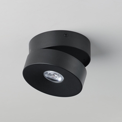 Swinger Adjustable LED Flush Mount