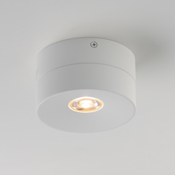 Swinger Adjustable LED Flush Mount
