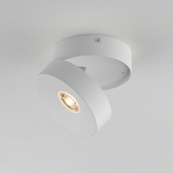 Swinger Adjustable LED Flush Mount