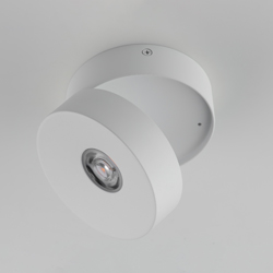 Swinger Adjustable LED Flush Mount