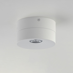 Swinger Adjustable LED Flush Mount