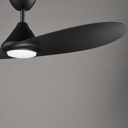 Surf 56" 2-Blade Marine Grade Fan w LED