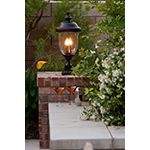 Carriage House DC 3-LT Outdoor Pole/Post Lantern