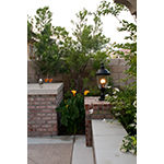 Carriage House DC 3-LT Outdoor Pole/Post Lantern