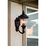 Carriage House DC 2-Light Outdoor Wall Lantern