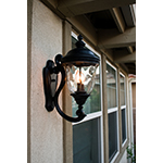 Carriage House DC 2-Light Outdoor Wall Lantern