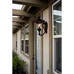 Carriage House DC 2-Light Outdoor Wall Lantern