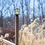 Coldwater 1-Light Outdoor Pole/Post Lantern