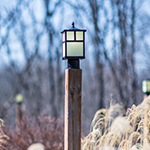 Coldwater 1-Light Outdoor Pole/Post Lantern