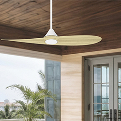 Surf 56" 2-Blade Marine Grade Fan w LED